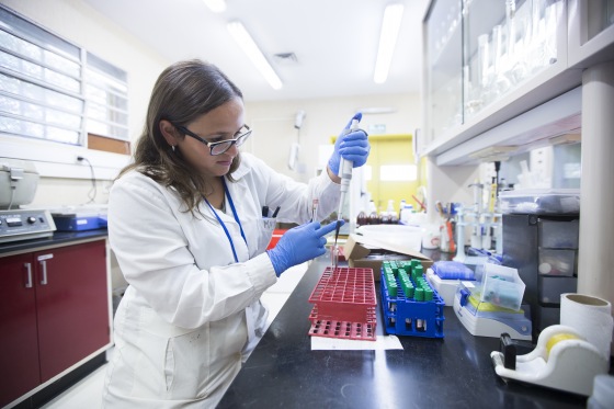 Medio ambiente drogas y doping