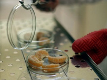 Alimentos y nutrición