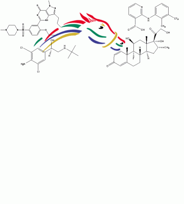 Defensa de Tesis de Maestría en Química: Lic. Bioq. Tania Possi-Pezzali