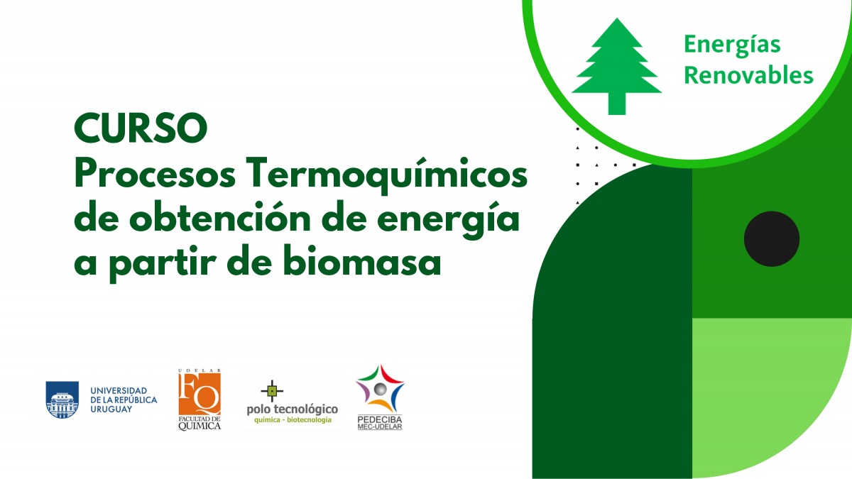 Procesos Termoquímicos de obtención de energía a partir de biomasa