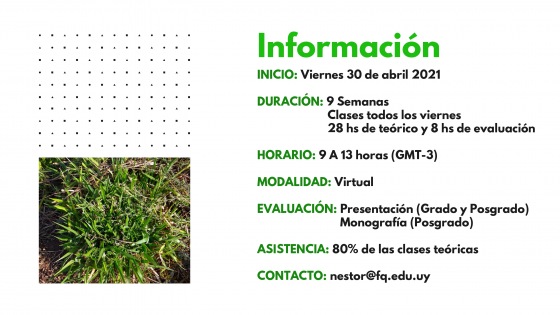 Procesos Termoquímicos de obtención de energía a partir de biomasa